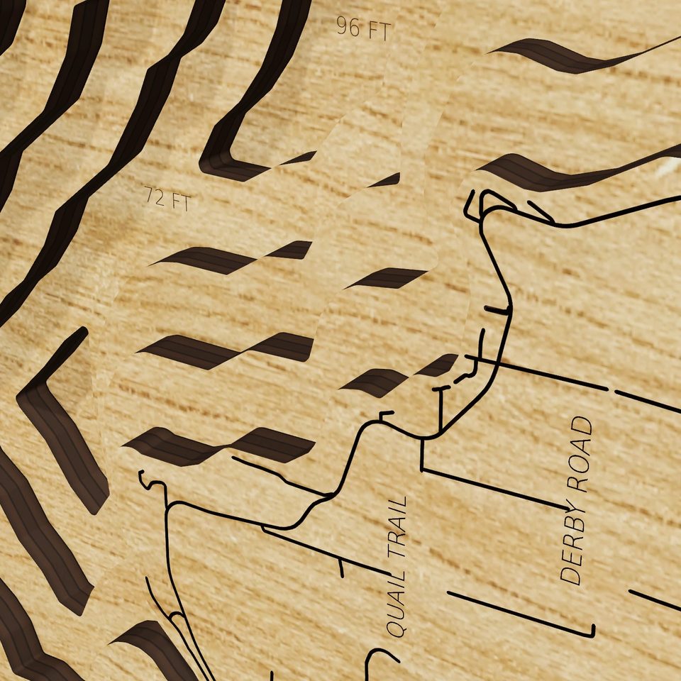 Mullett Lake 3D wood map, detail view