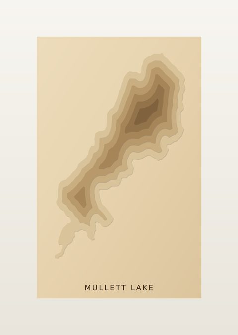 Mullett Lake wood map