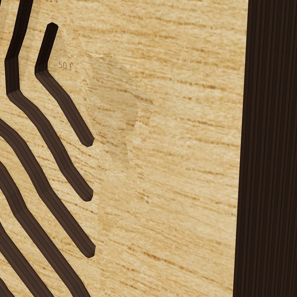 Nagawicka Lake 3D wood map, detail view