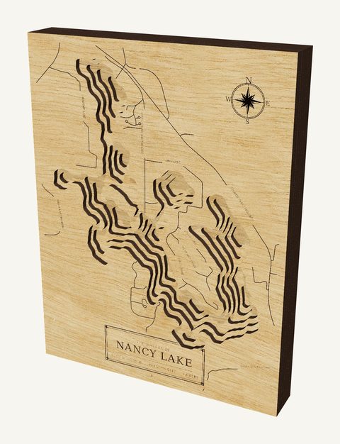 Nancy Lake wood map