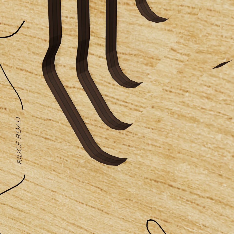 Neponset Reservoir 3D wood map, detail view