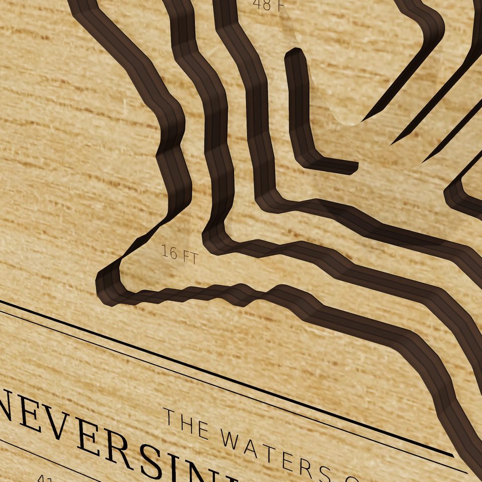 Neversink Reservoir 3D wood map, detail view