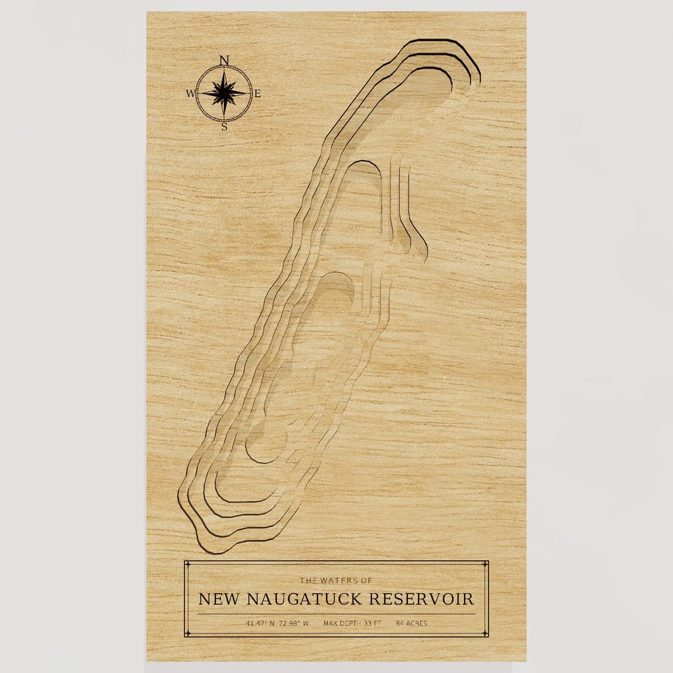 New Naugatuck Reservoir 3D wood map, front view