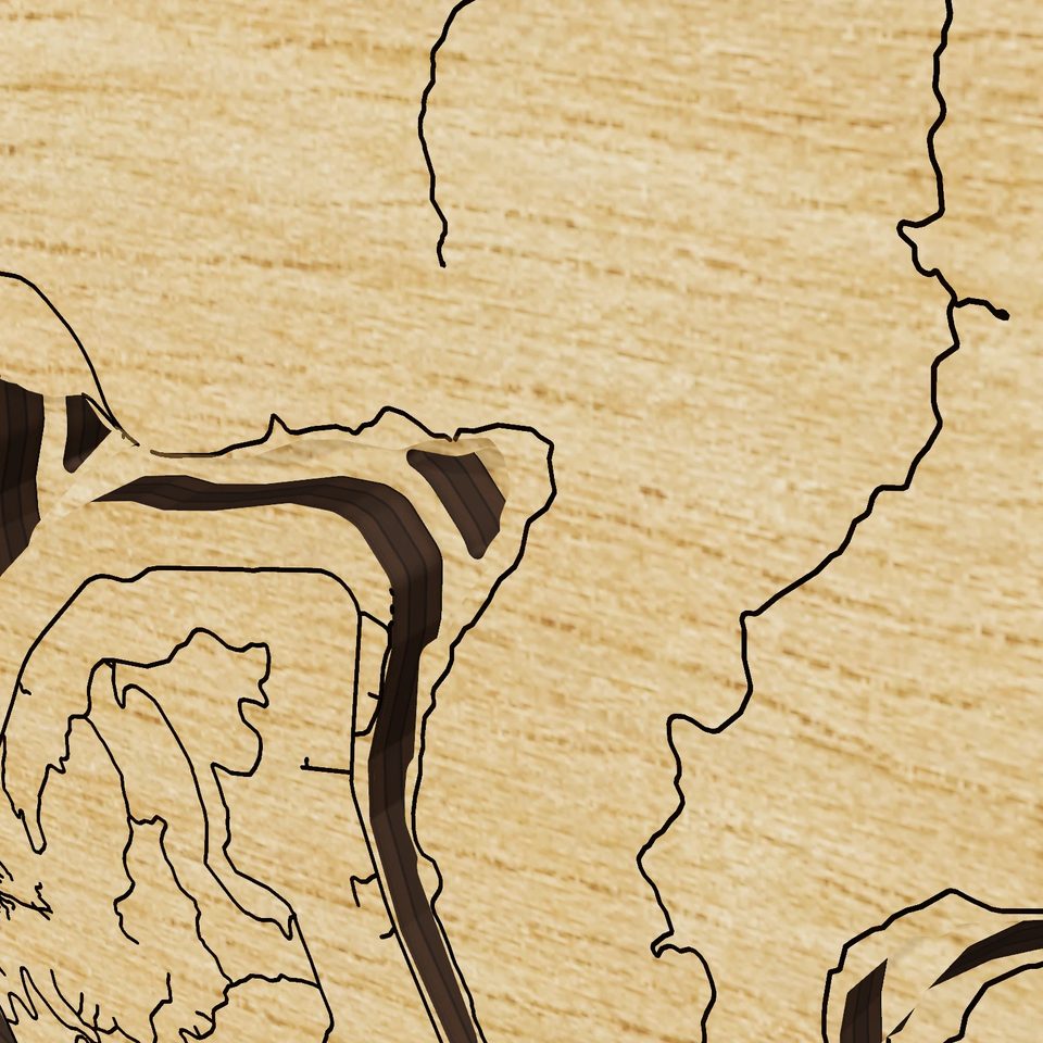 Nickajack Lake 3D wood map, detail view