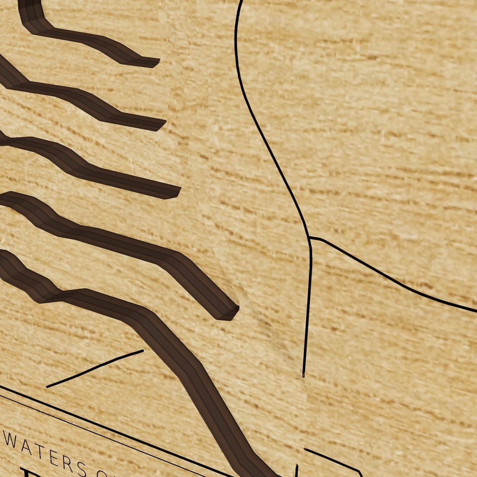 Nimisila Reservoir 3D wood map, detail view