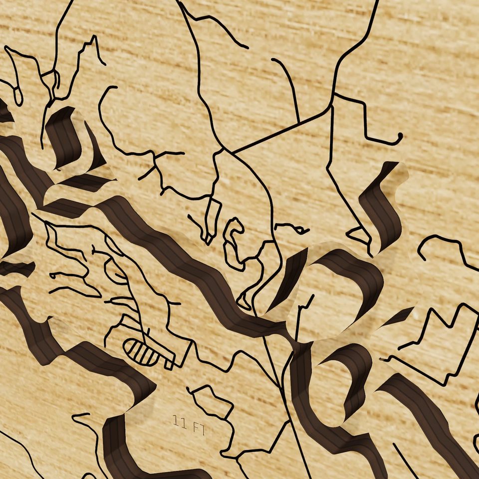Nolin Lake 3D wood map, detail view