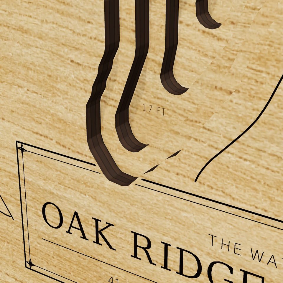 Oak Ridge Reservoir 3D wood map, detail view