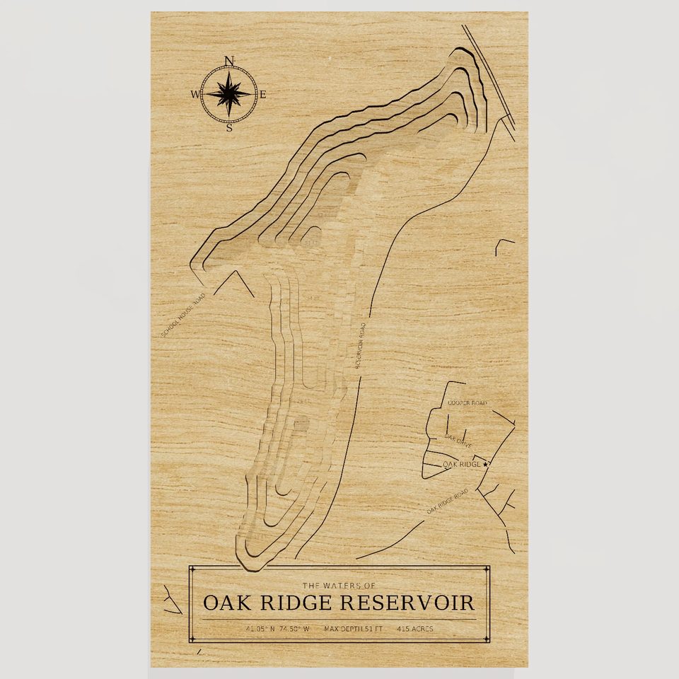 Oak Ridge Reservoir 3D wood map, front view