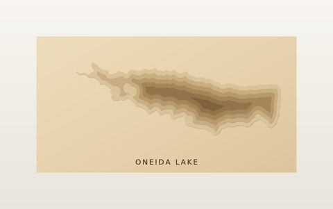 Oneida Lake wood map