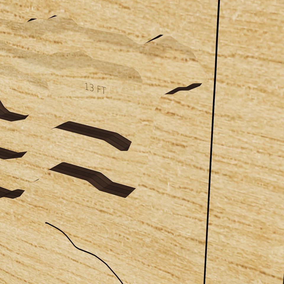 O'Neill Forebay 3D wood map, detail view