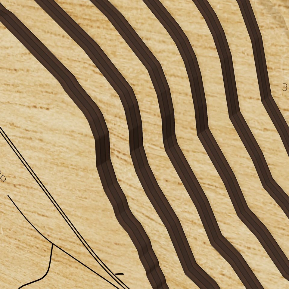 Onondaga Lake 3D wood map, detail view