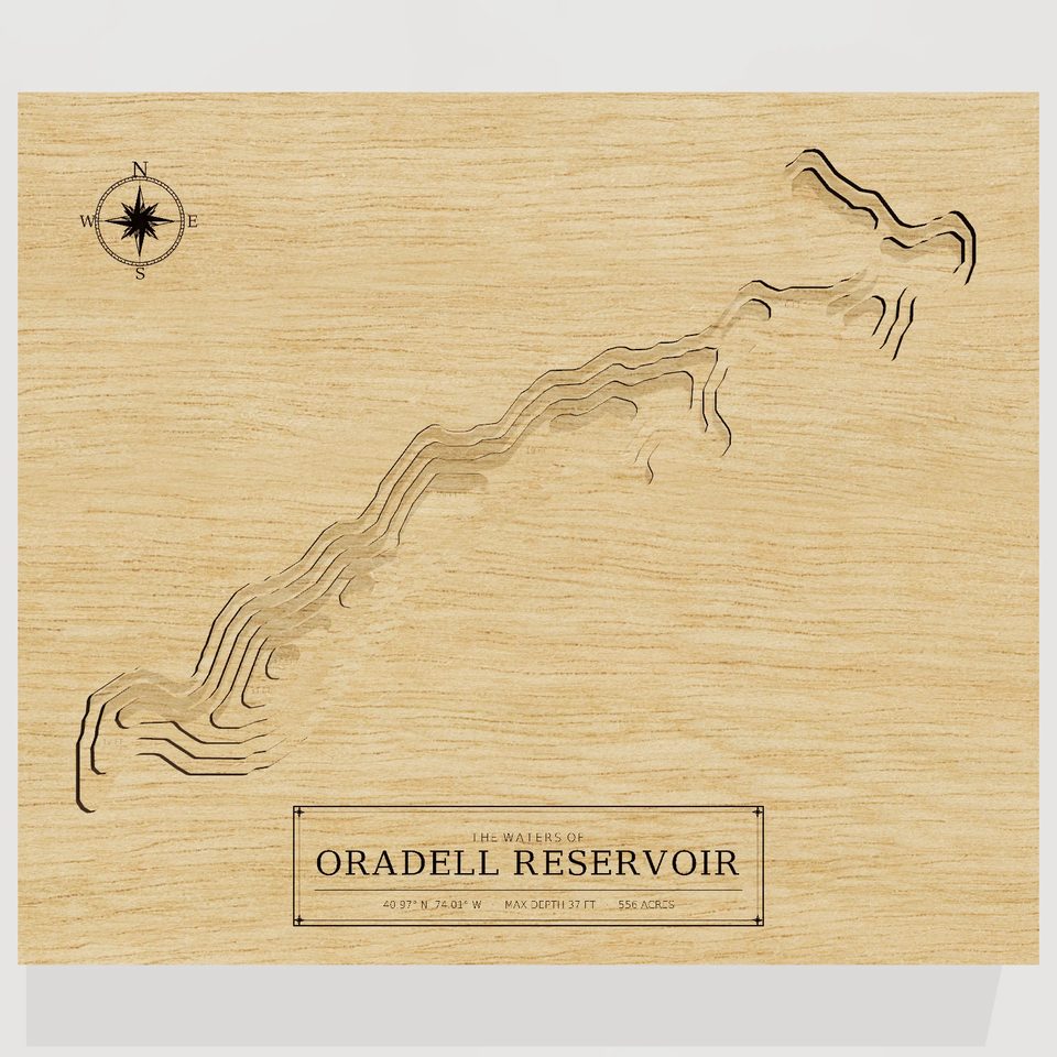 Oradell Reservoir 3D wood map, front view
