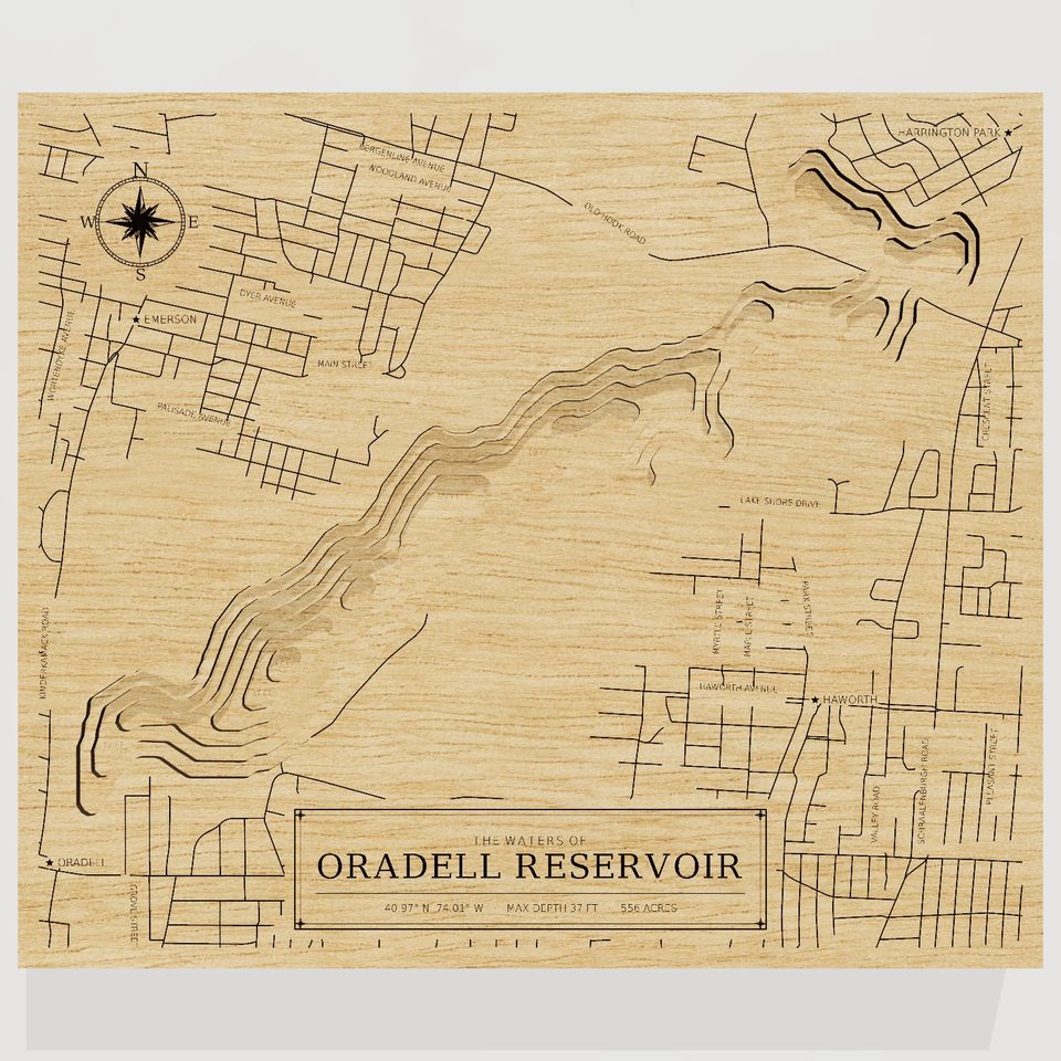 Oradell Reservoir 3D wood map, front view