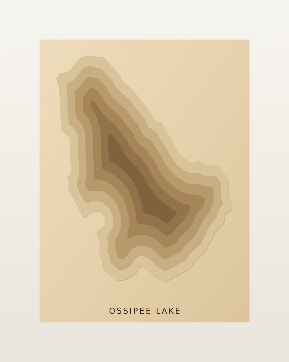 Ossipee Lake 3D wood map, preview view