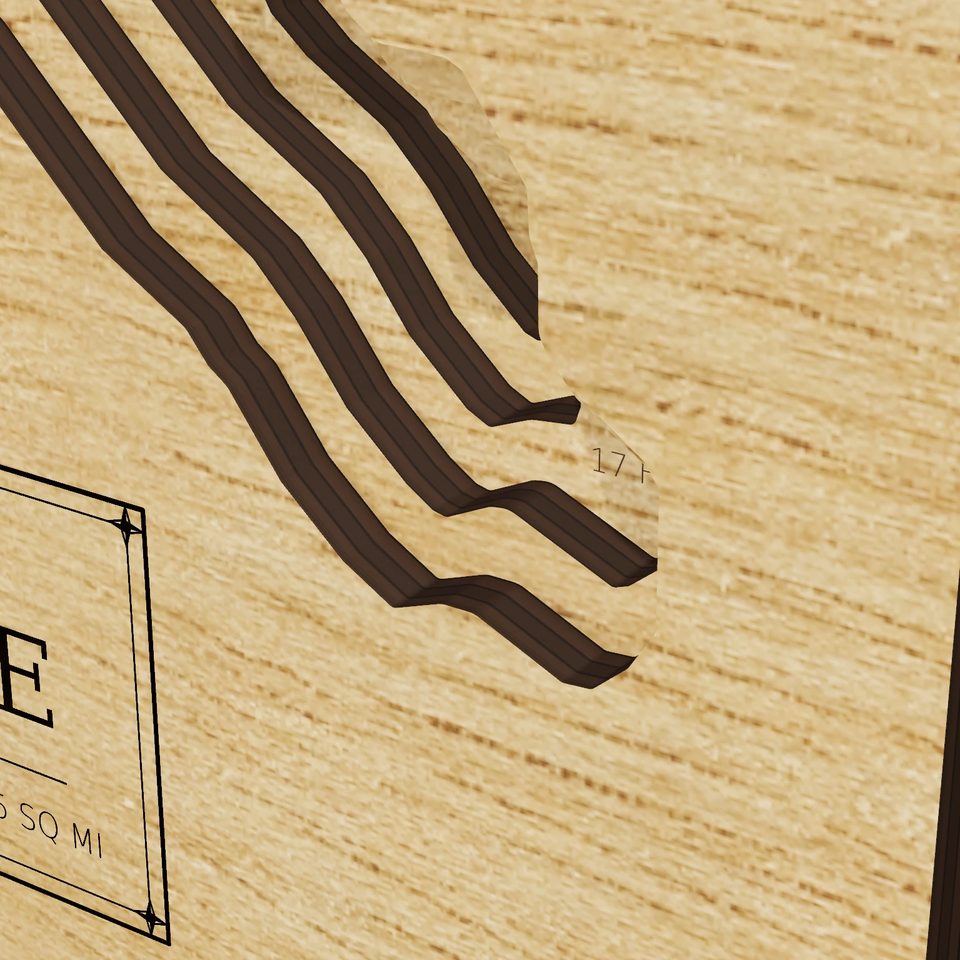 Otisco Lake 3D wood map, detail view
