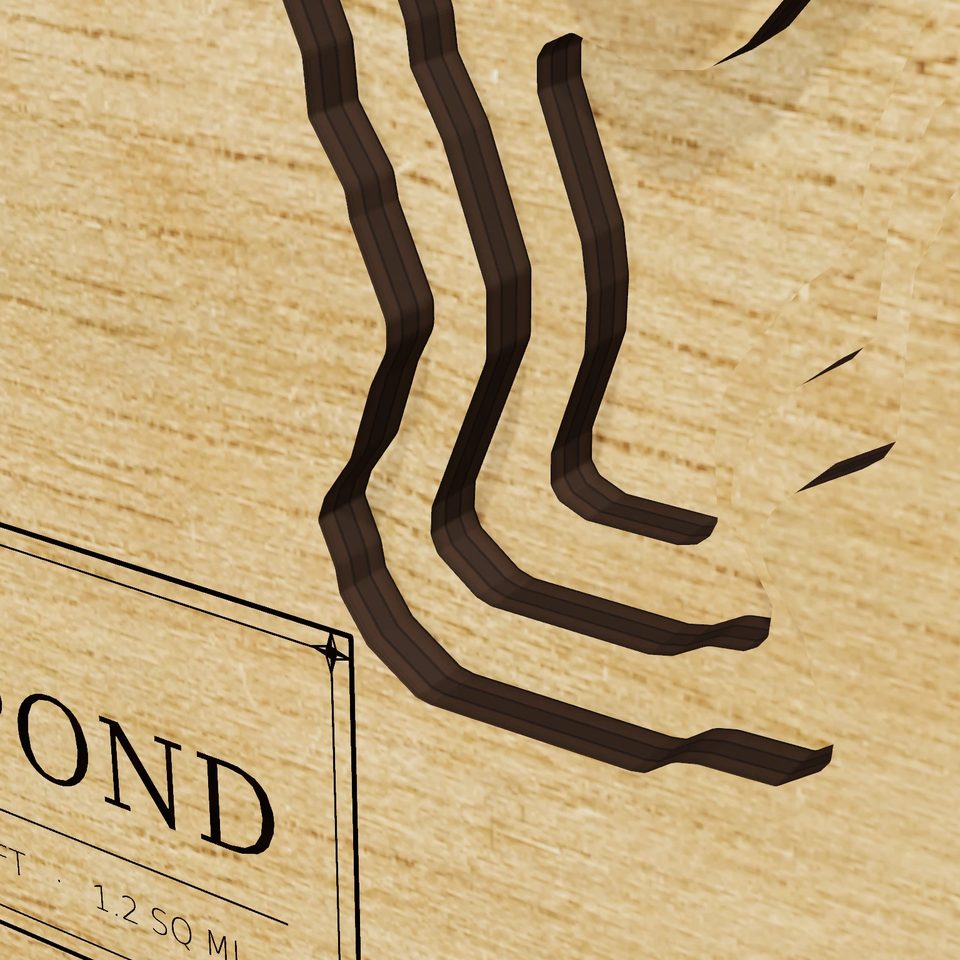 Pachaug Pond 3D wood map, detail view