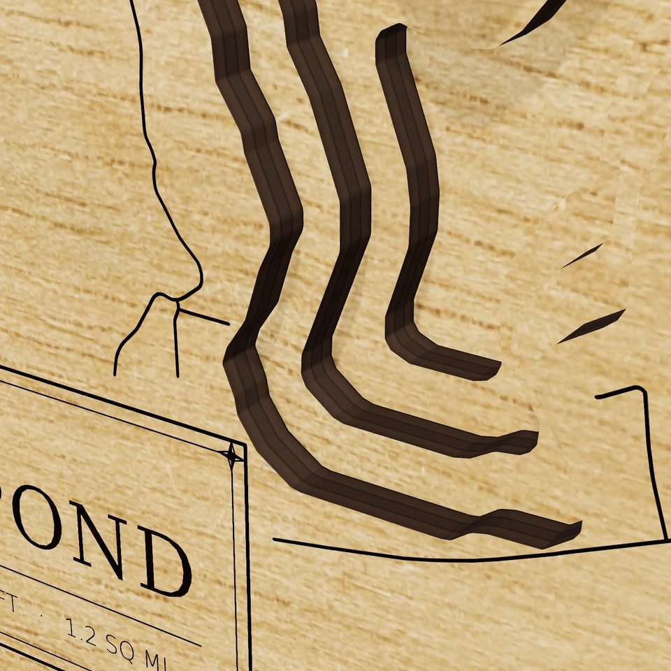 Pachaug Pond 3D wood map, detail view