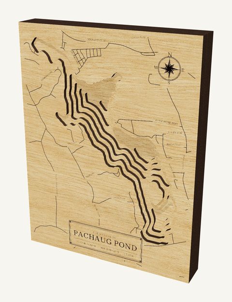 Pachaug Pond wood map