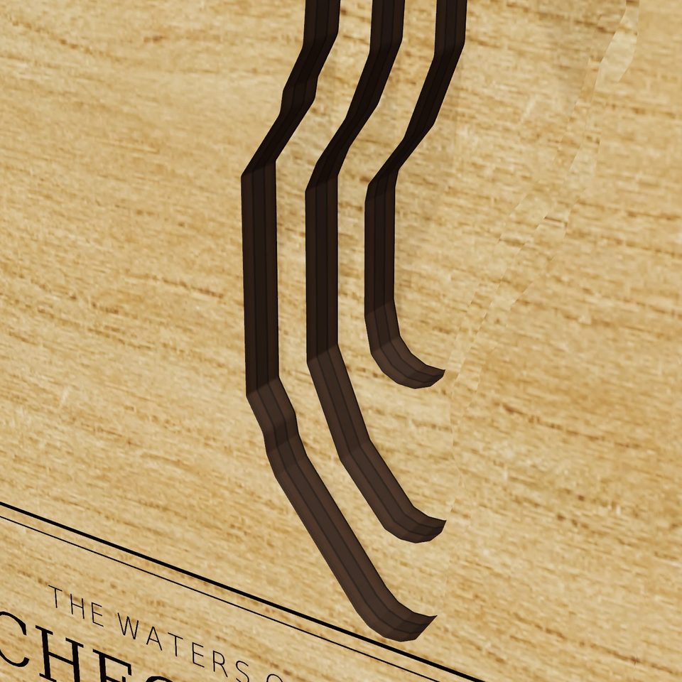 Pacheco Lake 3D wood map, detail view