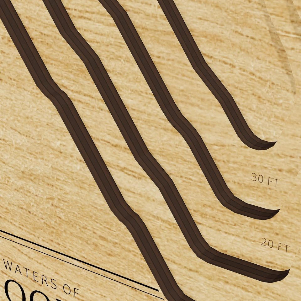 Packwood Lake 3D wood map, detail view
