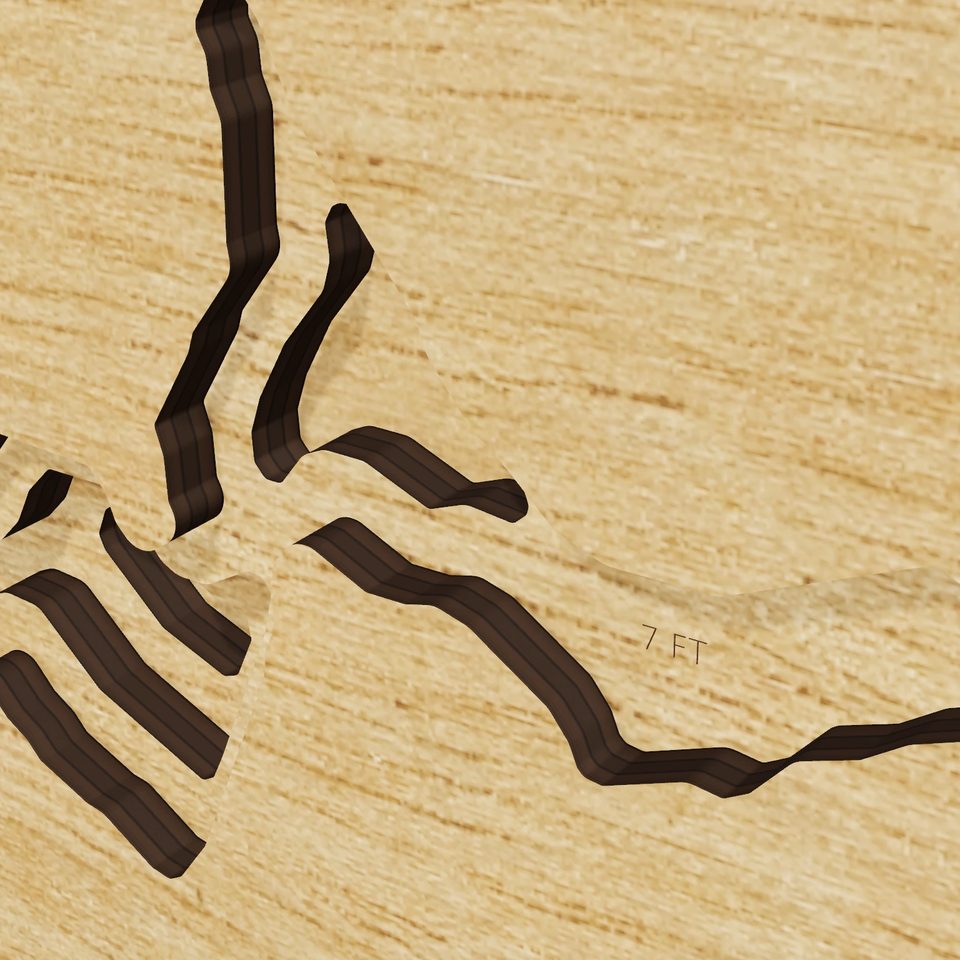 Pardee Reservoir 3D wood map, detail view