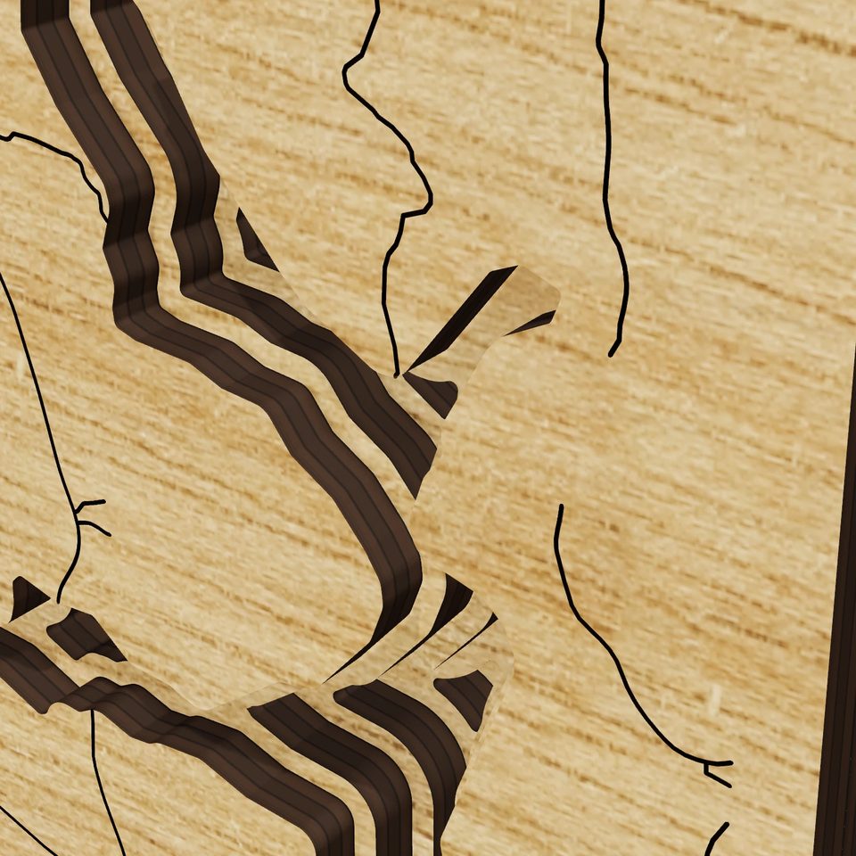 Parr Reservoir 3D wood map, detail view