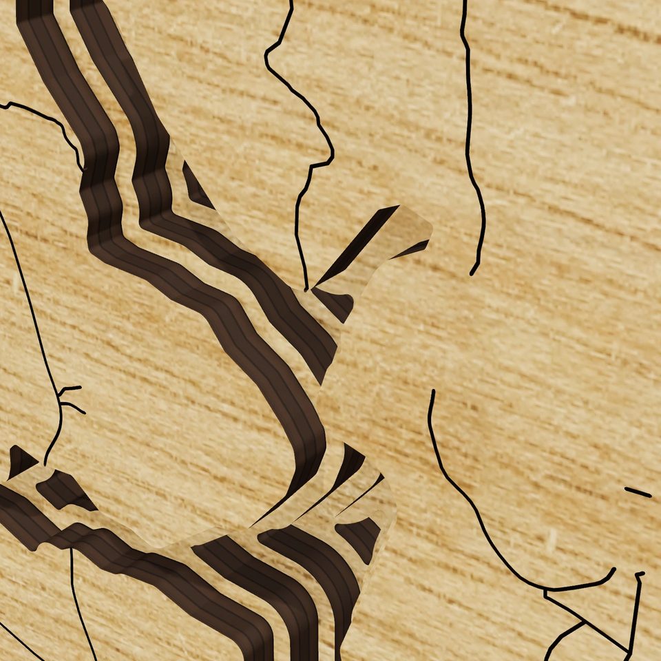 Parr Reservoir 3D wood map, detail view