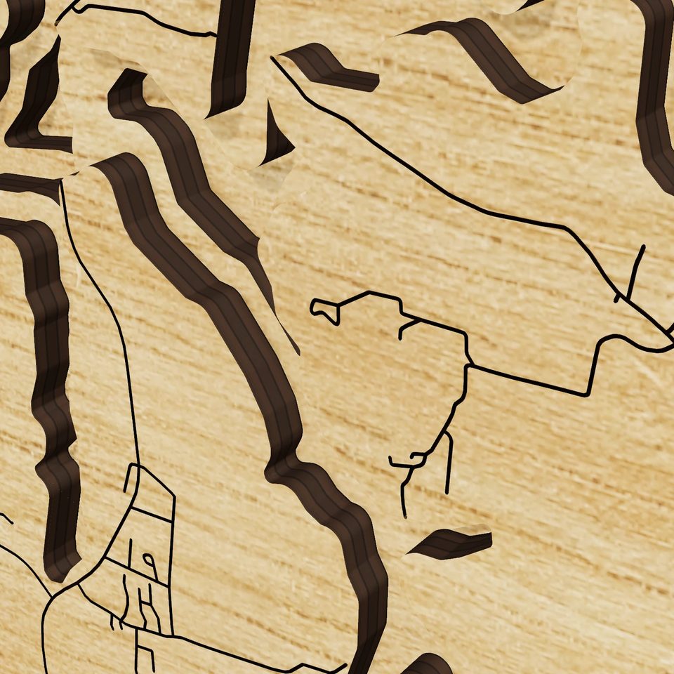 Patoka Lake 3D wood map, detail view