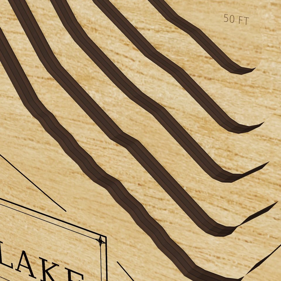 Pattison Lake 3D wood map, detail view