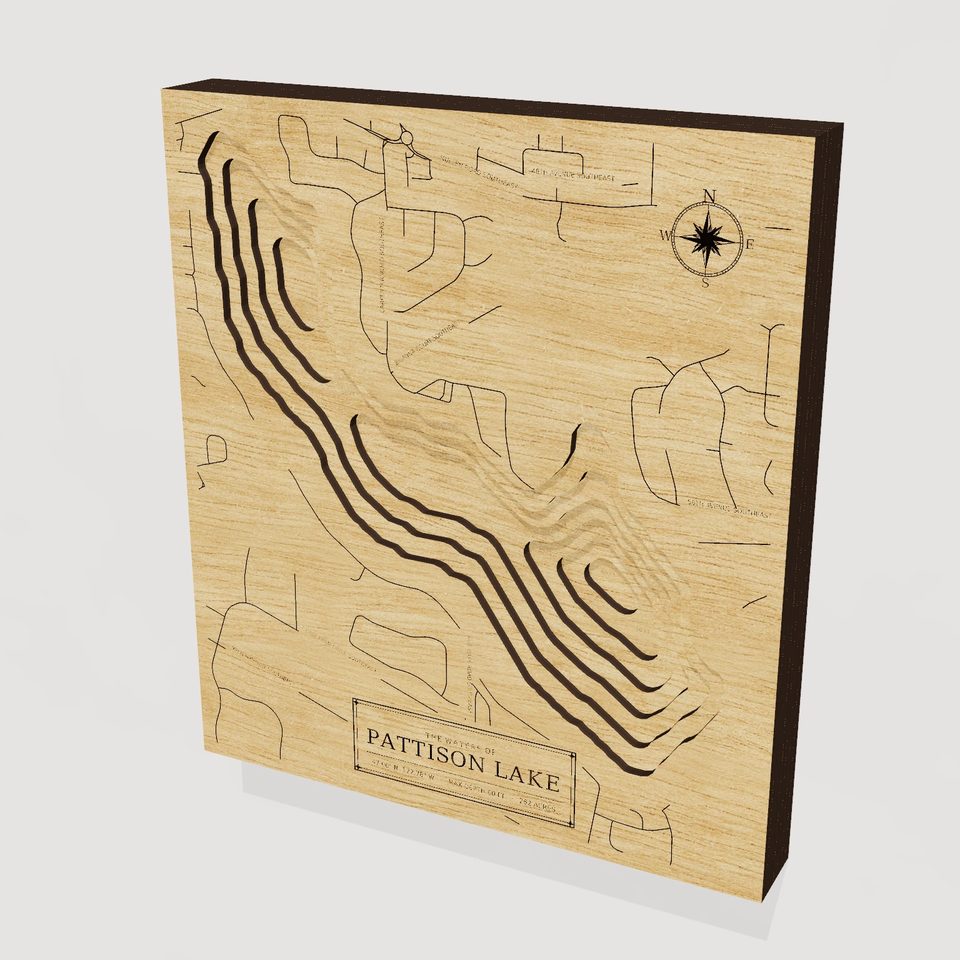 Pattison Lake 3D wood map, hero view