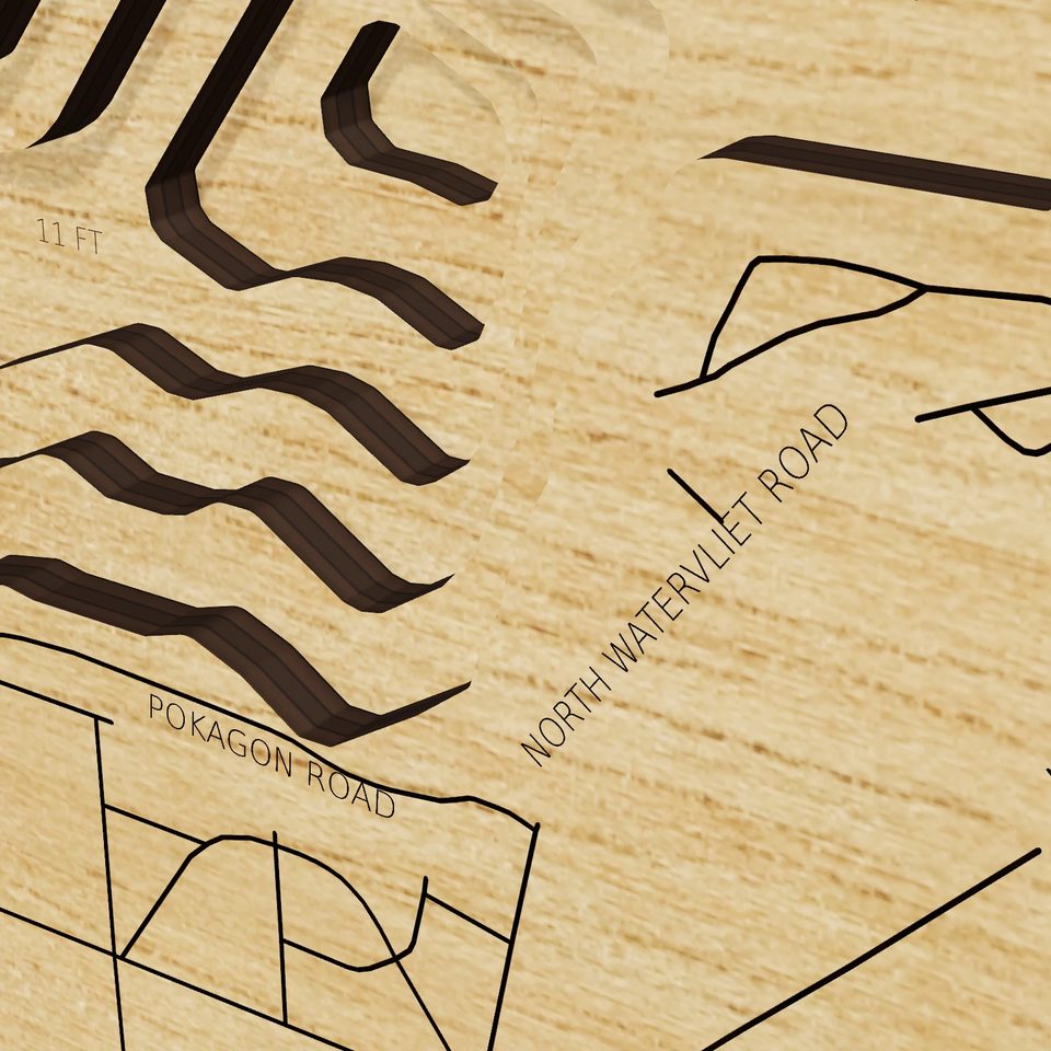 Paw Paw Lake 3D wood map, detail view