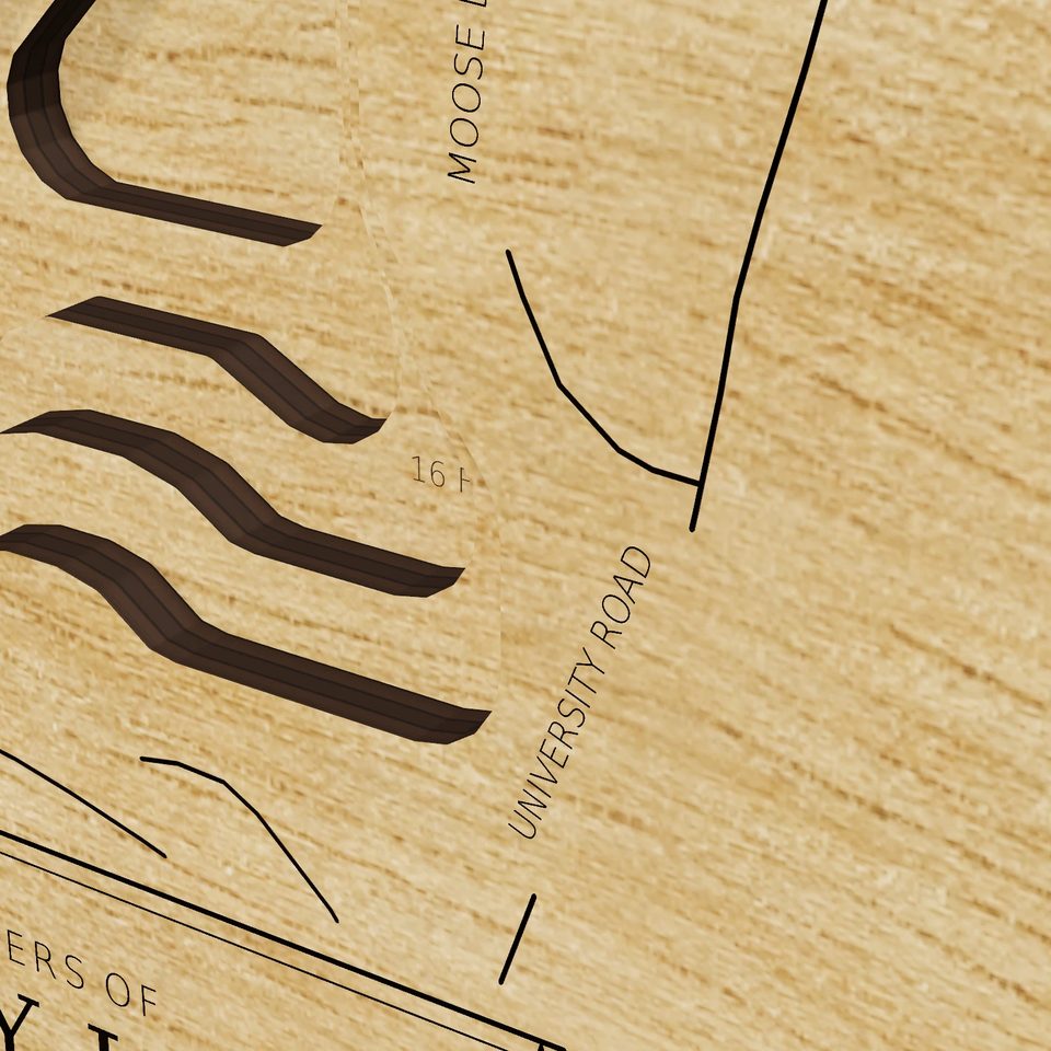 Pearly Lake 3D wood map, detail view