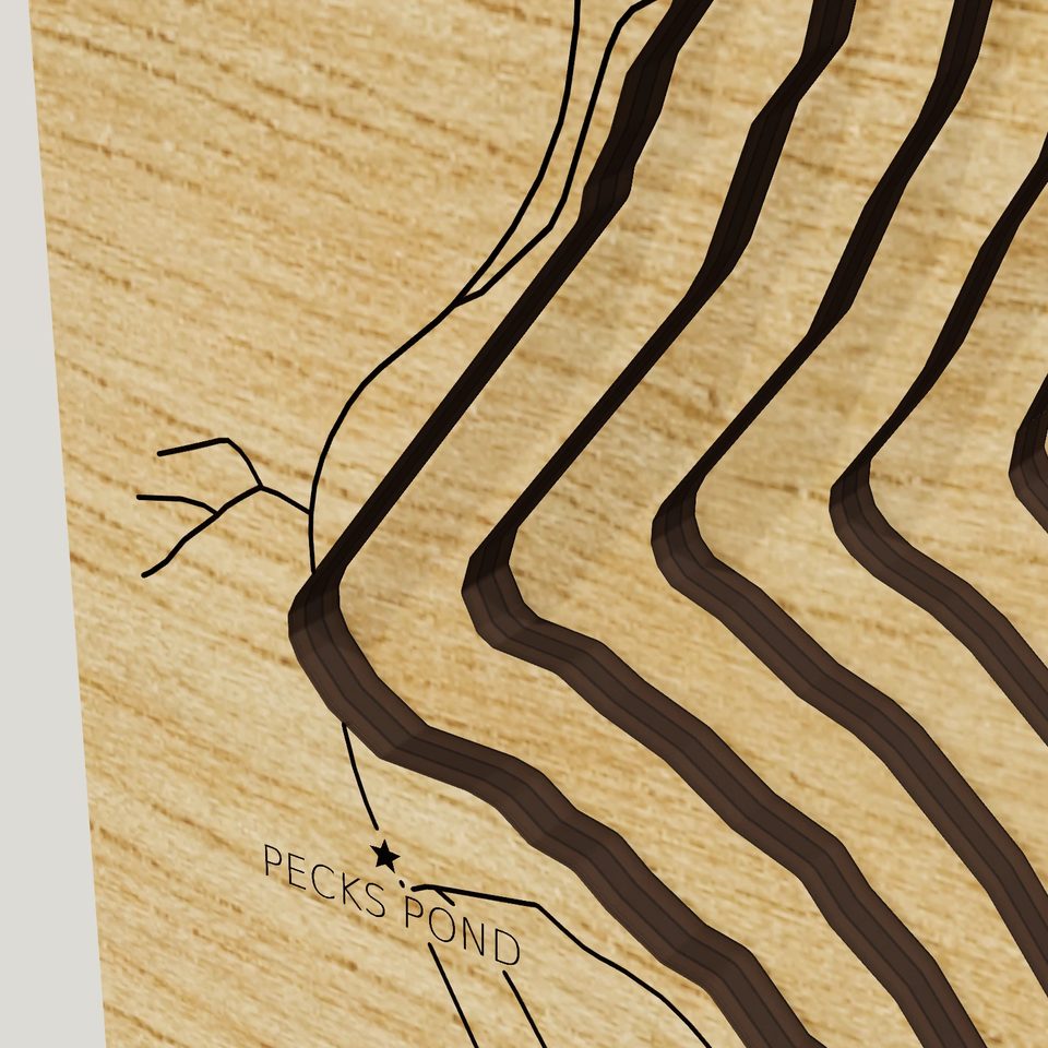 Pecks Pond 3D wood map, detail view