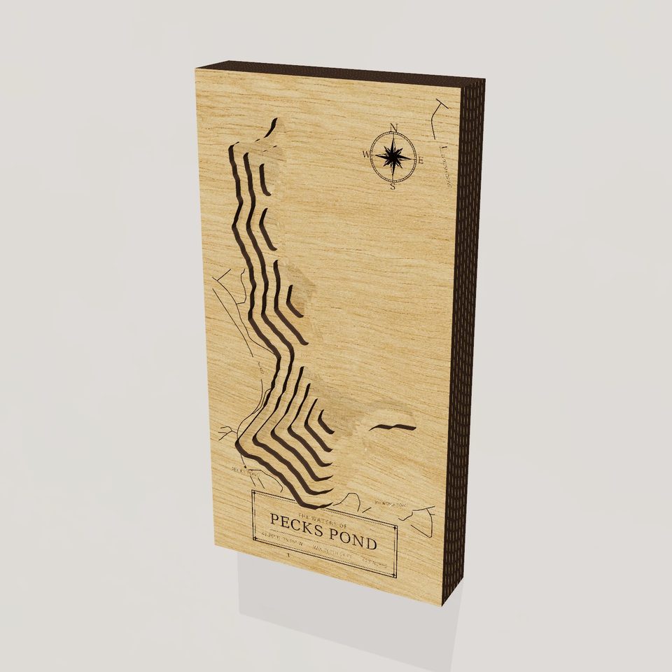 Pecks Pond 3D wood map, hero view