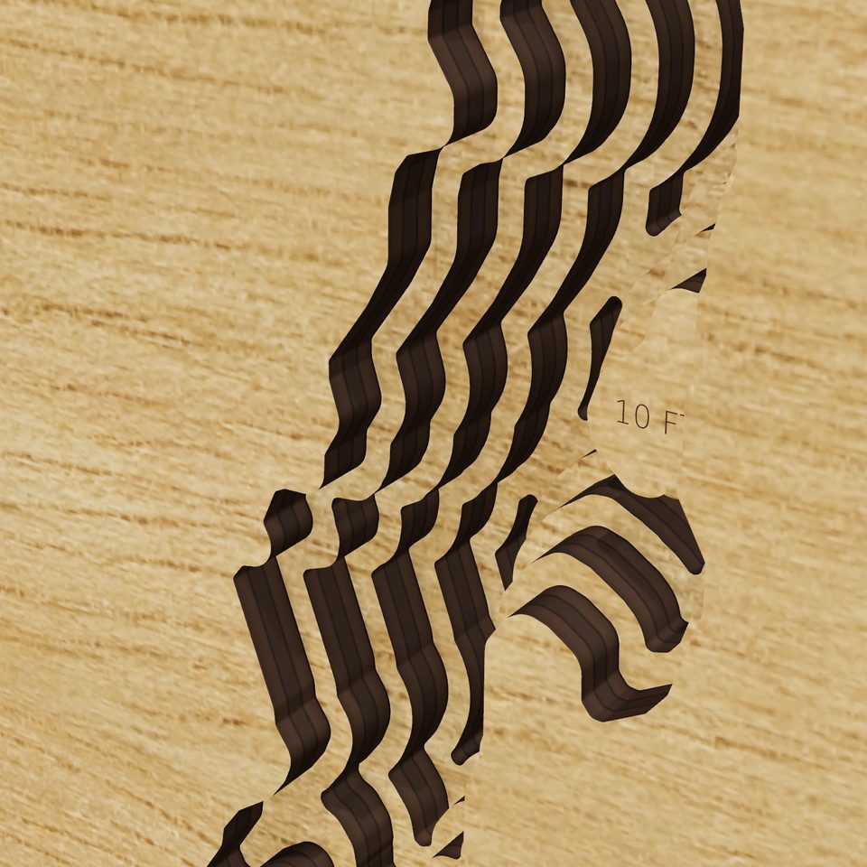 Pemaquid Pond 3D wood map, detail view