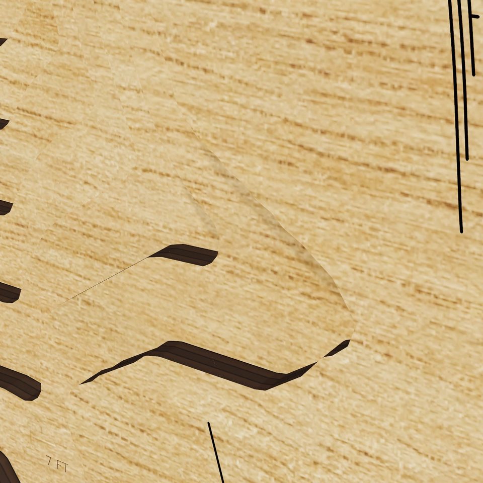 Pig's Eye Lake 3D wood map, detail view