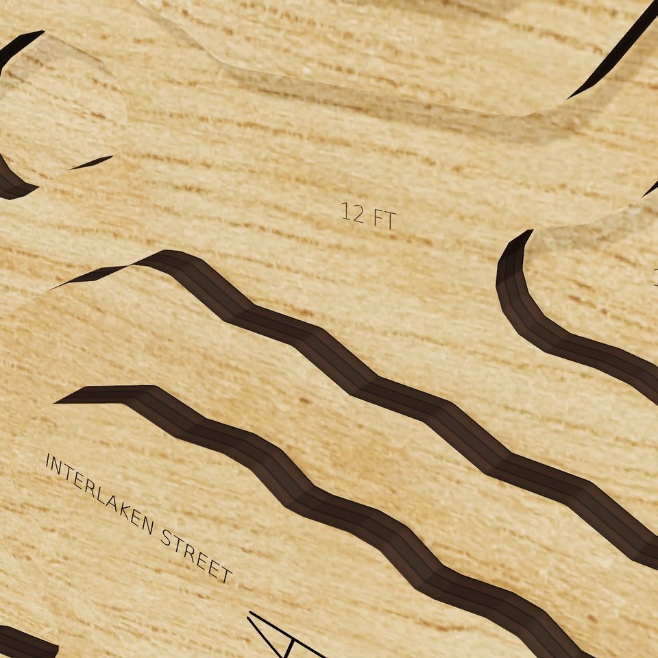 Pine Lake 3D wood map, detail view