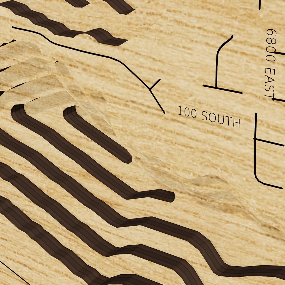 Pineview Reservoir 3D wood map, detail view
