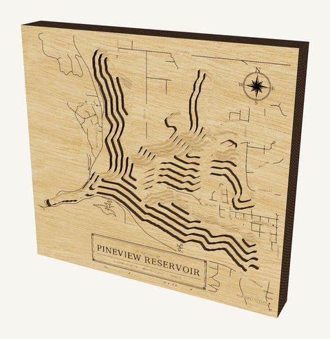 Pineview Reservoir wood map