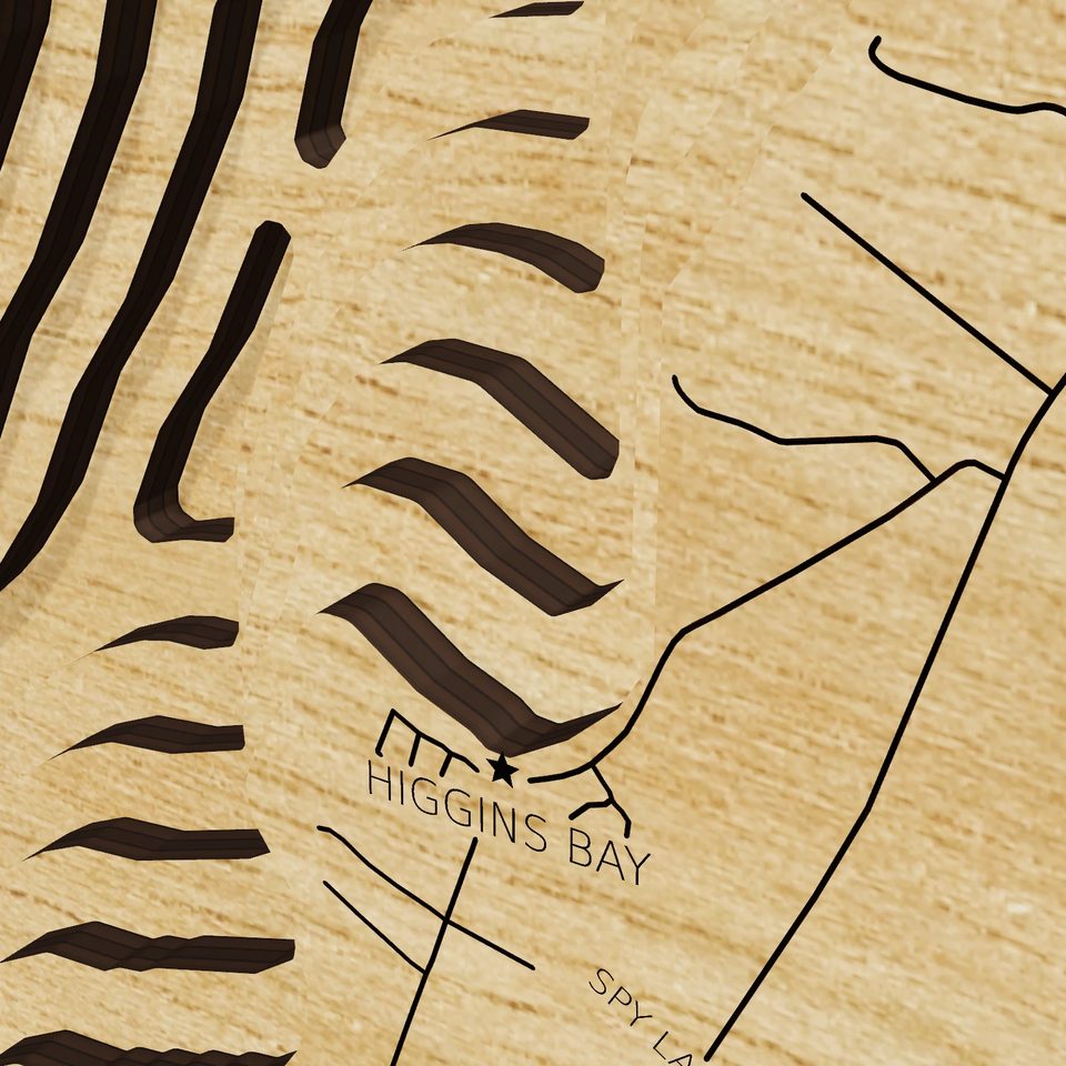Piseco Lake 3D wood map, detail view