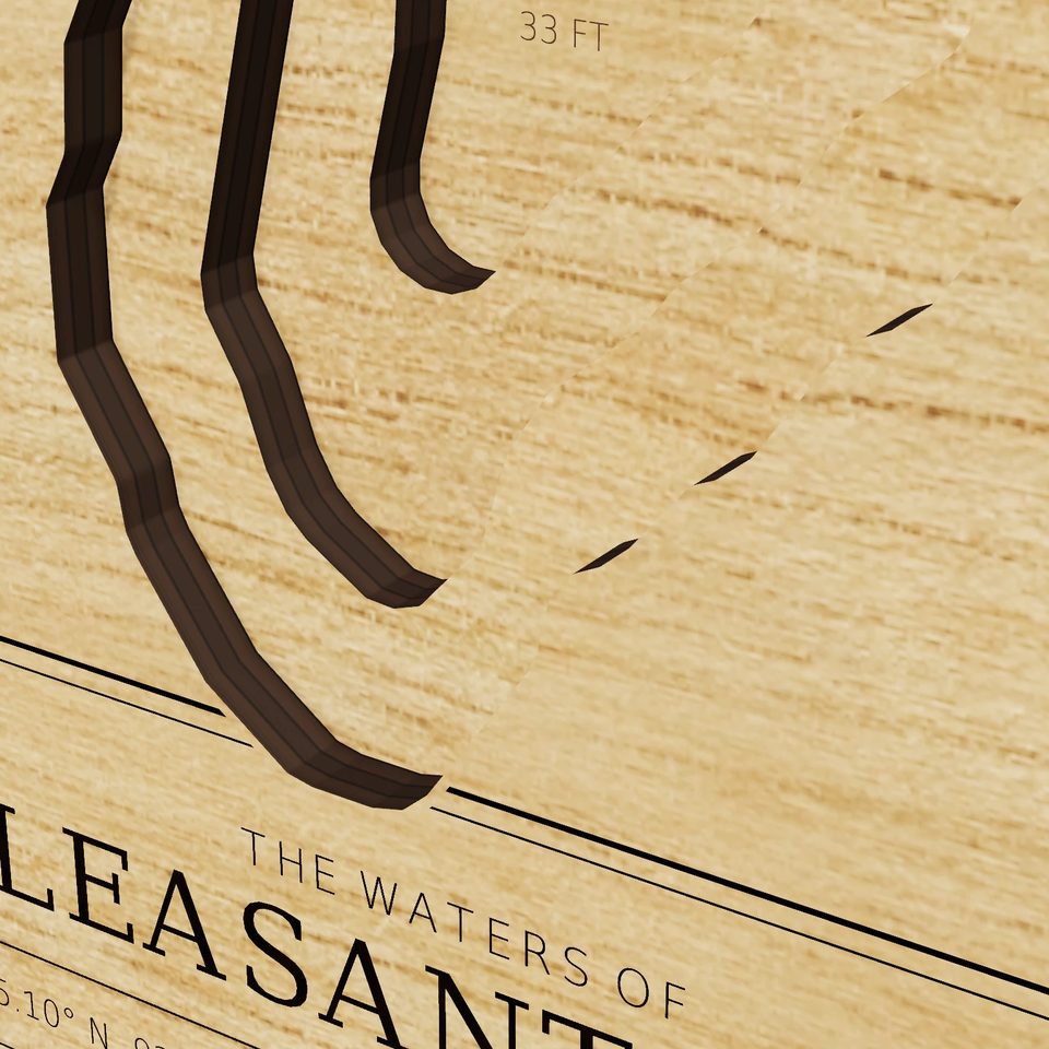 Pleasant Lake 3D wood map, detail view