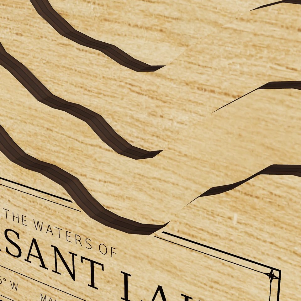 Pleasant Lake 3D wood map, detail view