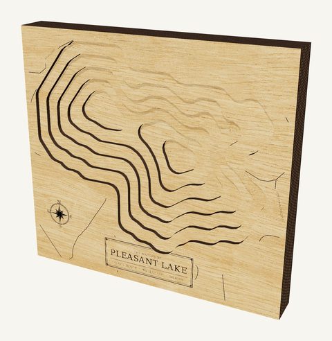 Pleasant Lake wood map