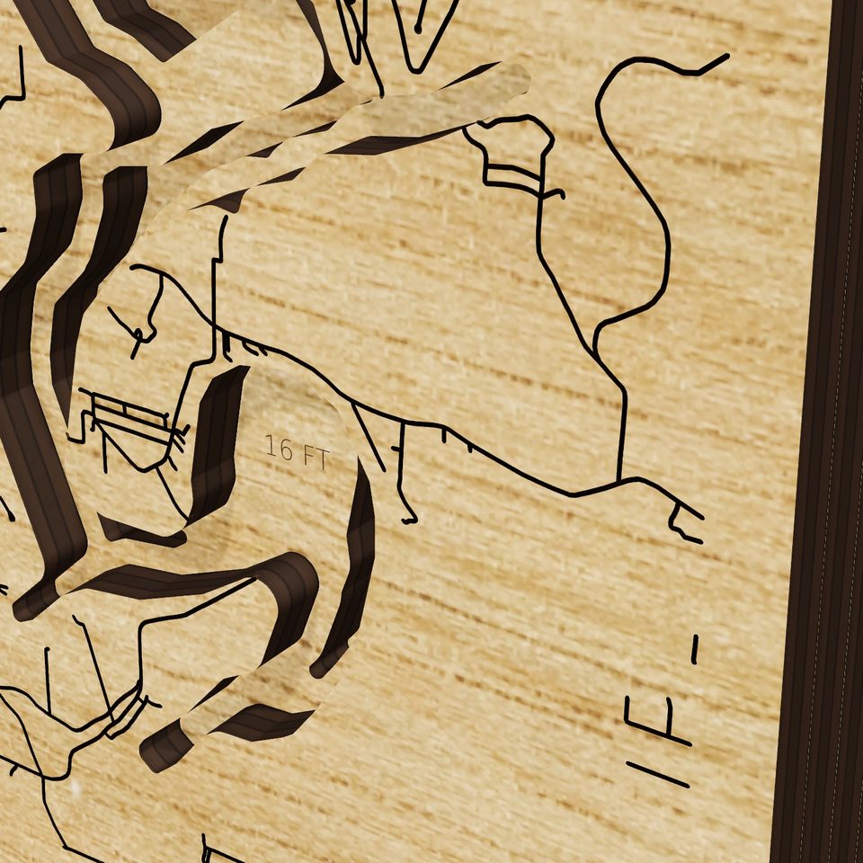 Pomme de Terre Lake 3D wood map, detail view