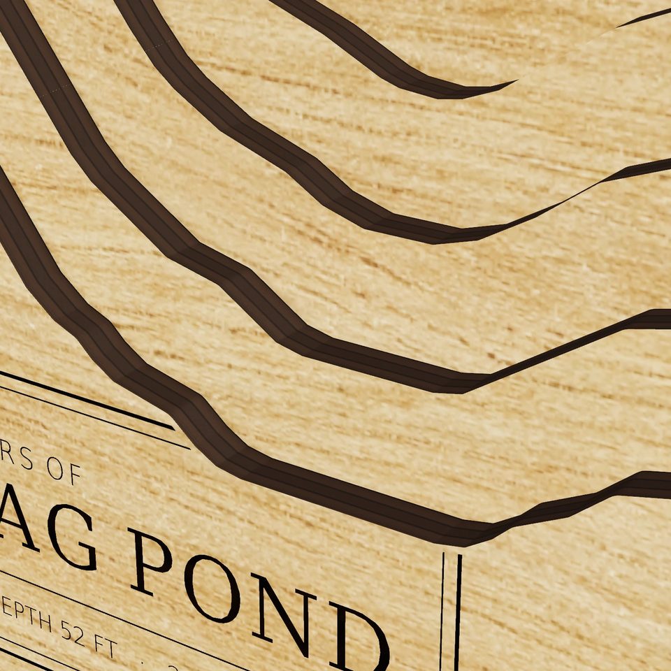 Ponkapoag Pond 3D wood map, detail view