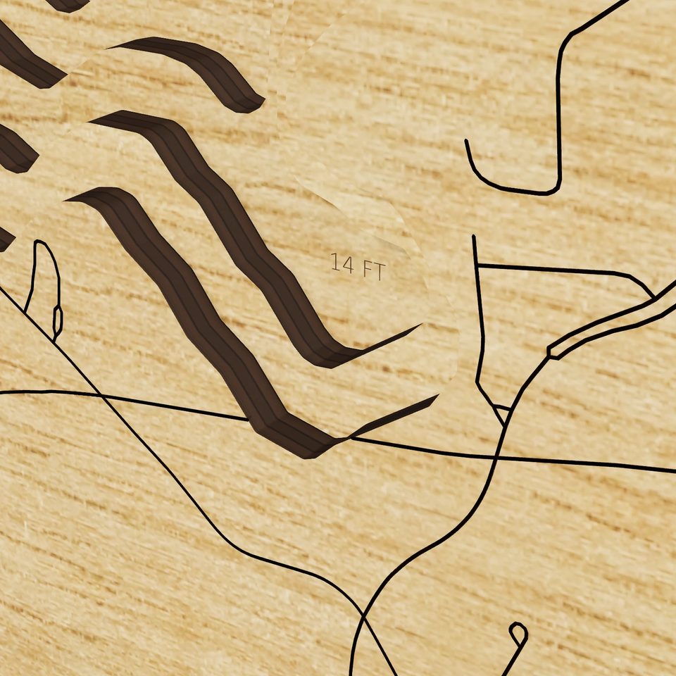 Pontiac Lake 3D wood map, detail view