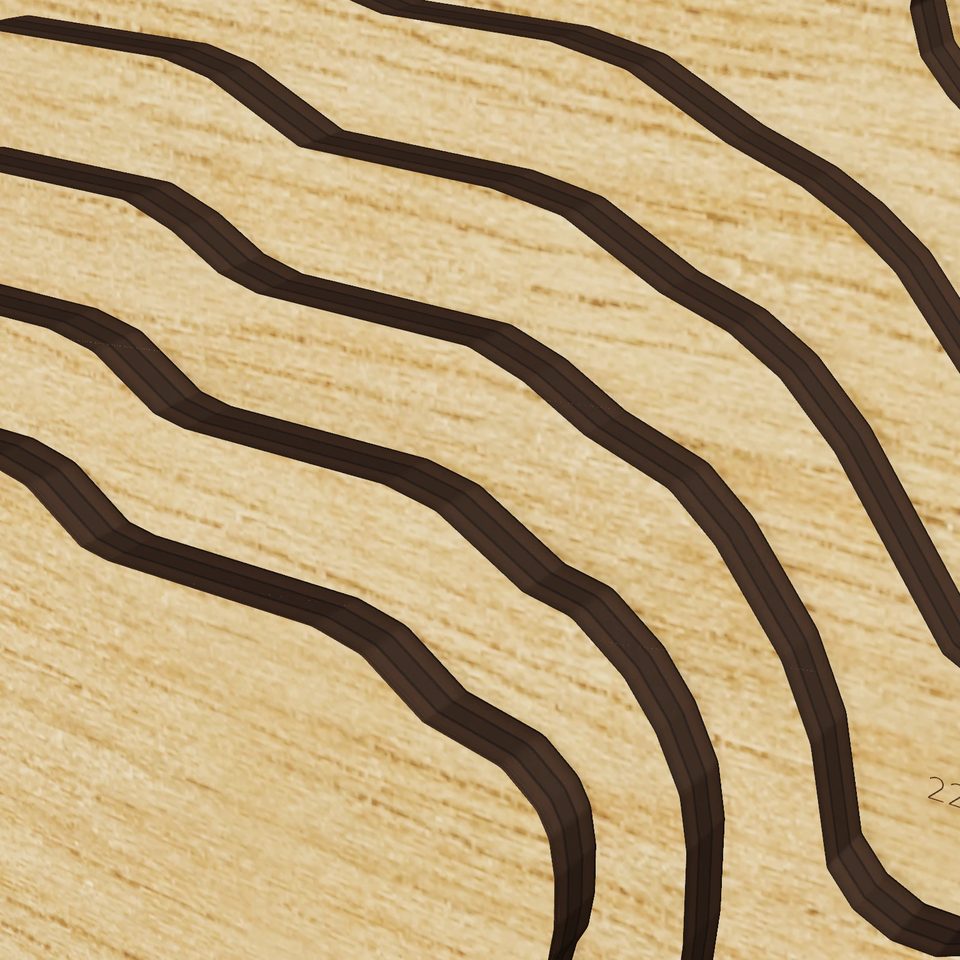 Porters Lake 3D wood map, detail view