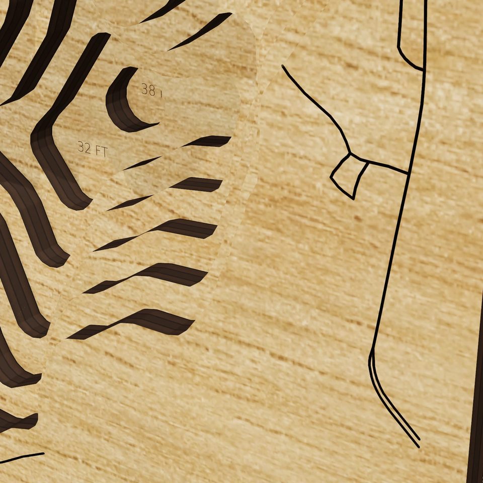 Potter Pond 3D wood map, detail view