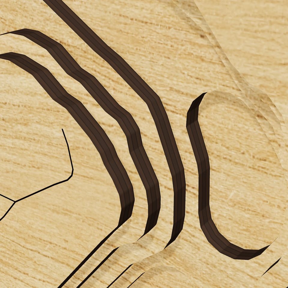 Prairie Lee Lake 3D wood map, detail view