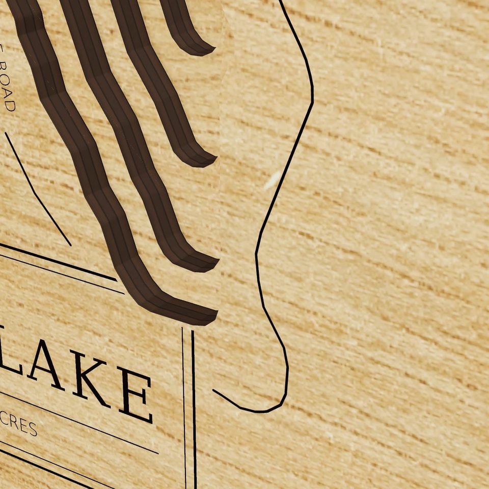 Promised Land Lake 3D wood map, detail view